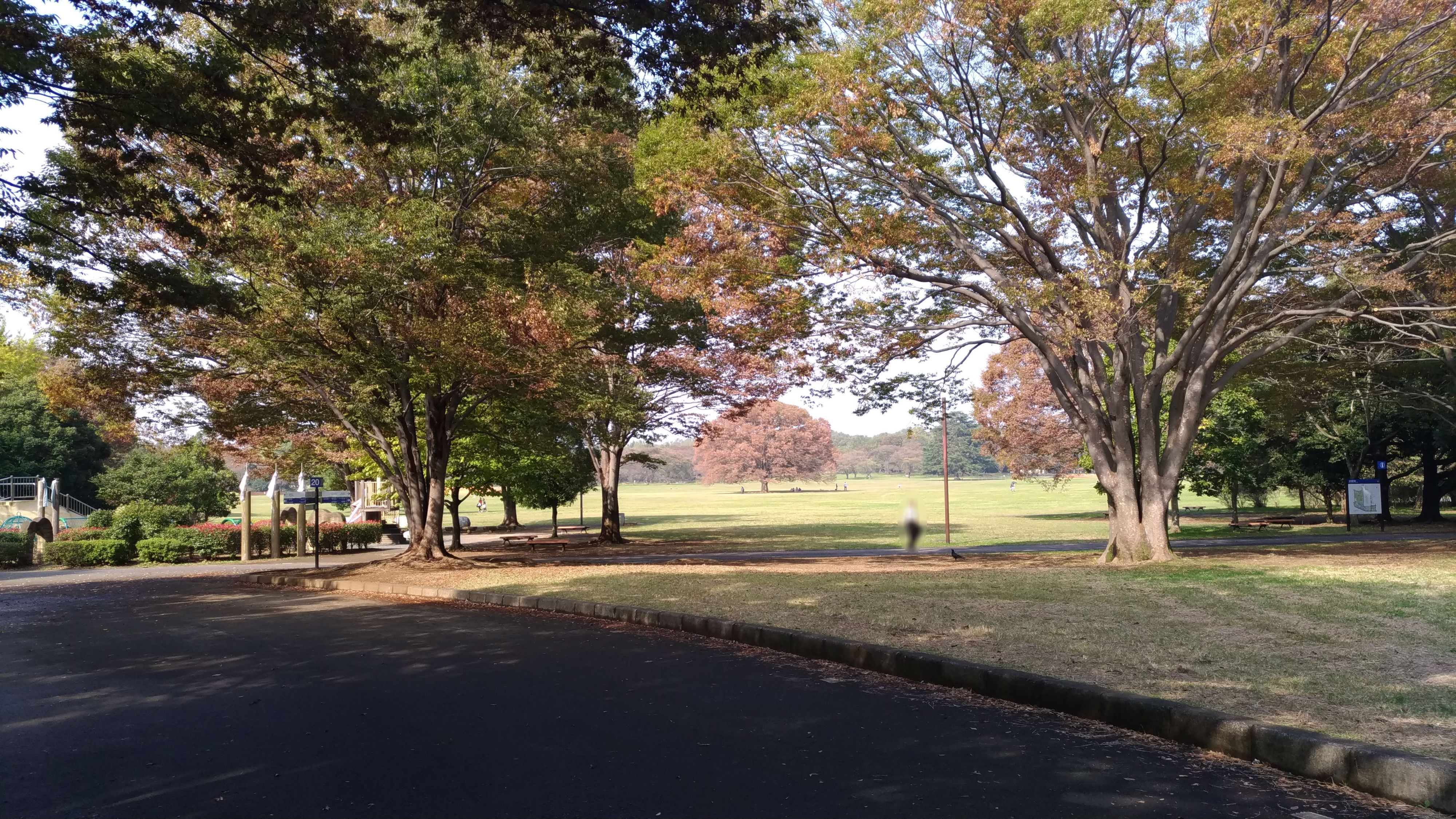 昭和記念公園は手ぶらでバーベキューが楽しめるおすすめスポット 子育て エンジニアの超自由研究ブログ